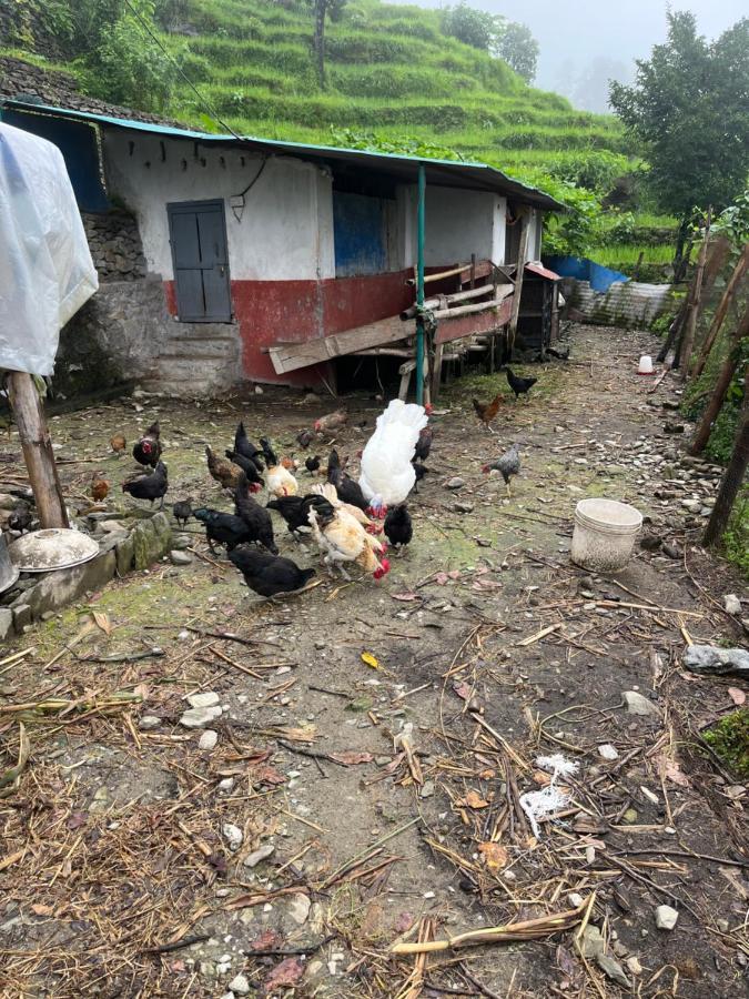 The North Face Inn'S Homestay Pokhara Dış mekan fotoğraf